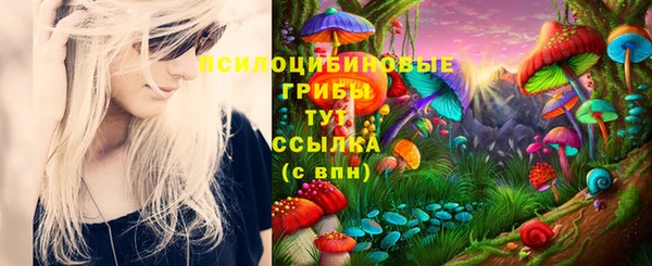 марки lsd Алексеевка